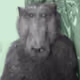 0x60beba00e5b1bbc799840535ca11431ff2fa63f7