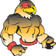 Hawks101