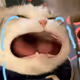 5uuu