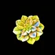 SucculentSite