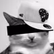 0xF_NFT