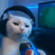 perforat0r
