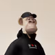 Zezima_NFT