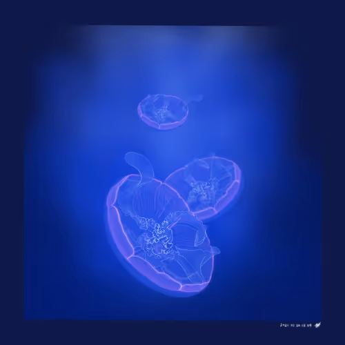 OpenSea profile picture for @ing