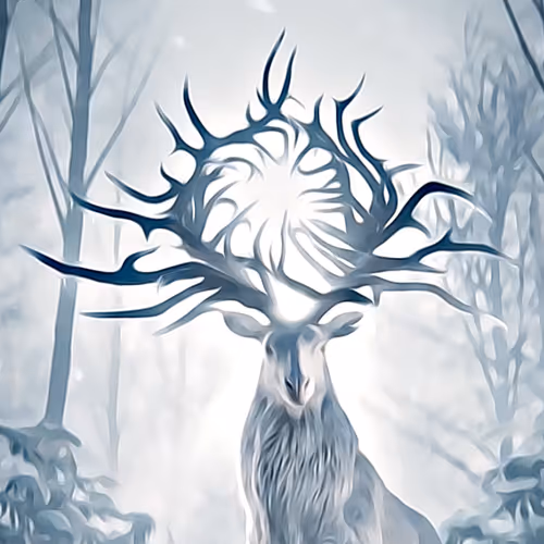 OpenSea profile picture for @Reindeer
