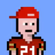 NinerPride