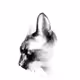 Crypto_LAMA