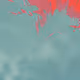 0xvarz
