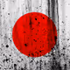 0x620644ee2d63b383fecd8f05d1bd359d91f56740