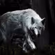 RR_