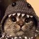 babyS_hark