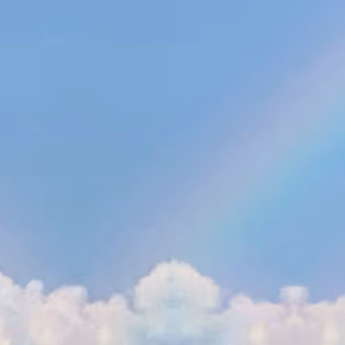 OpenSea banner for @Sunny1