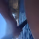 NFT_luciapv