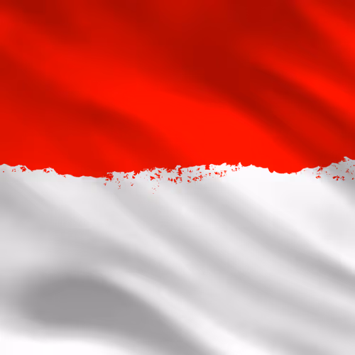 OpenSea profile picture for @Indonesian