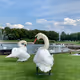0x6290d2419d88a9dbb381dfc6c75fde329a2019ab