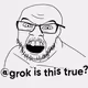 GrokisthisTrue