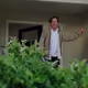 YoureInTheBushes