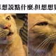 0x62d501f679de4dd9931cb988e1244299d8aff316