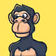 TechnicalDeveloper