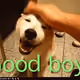 AdventurousAnt93