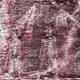 Sophocles