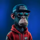 Crypt_Crusader