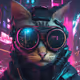 Zellycbrcat