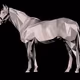 NakaBloodStables