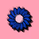 OS_sam