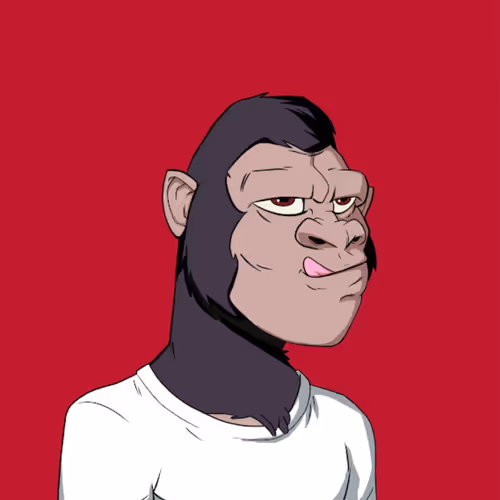 OpenSea profile picture for @gaetano