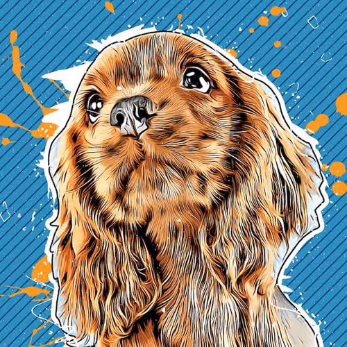 OpenSea profile picture for @Sixties