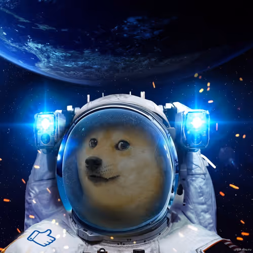 OpenSea profile picture for @thedog