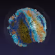 0x63d62fb58837890c016be8698ffe7581987b3758