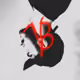 B1visual