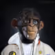 Millerape
