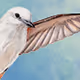 mrbirdman
