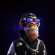 MekaDope