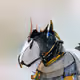 DigitalHorseRacing