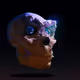 -Mira-