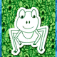 Facetime_Frog