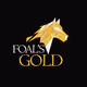 Foals-Gold-Syndicate