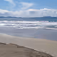 ArenaDelMar