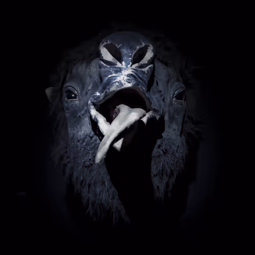 OpenSea profile picture for @Faca