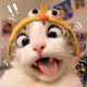 adil_g__