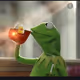 Kermithefroggy