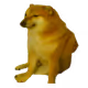 Supremevd