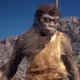 sajeelnft