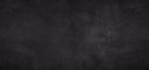 OpenSea banner for @Started