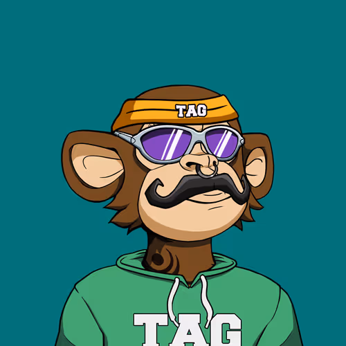 OpenSea profile picture for @Xmit