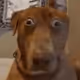 B____